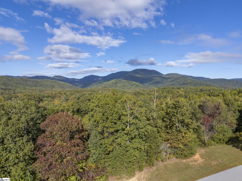 Property image 5 of 100 Pardo Road in Gowans Fort, Landrum, SC 29356