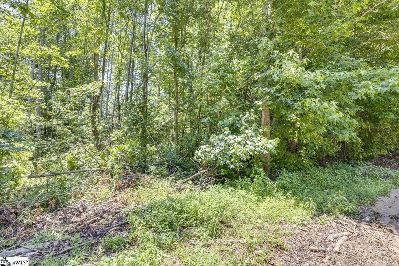 1208 Bradford Creek Lane