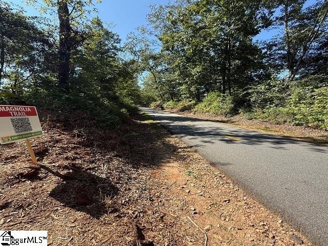 Property image 4 of 14 Lone Cypress Street in Magnolia Trail, Travelers Rest, SC 29690