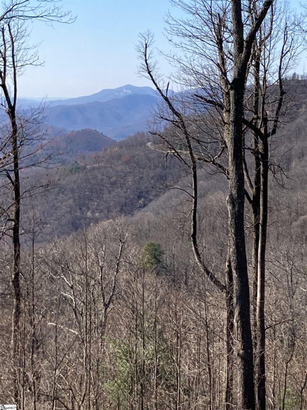 Property image 3 of Hidden Rock Way in Cliffs Valley, Zirconia, NC 28790