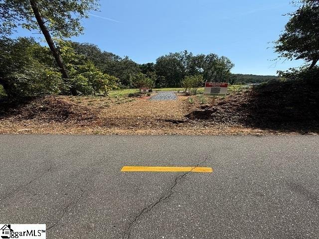 Property image 5 of 18 Lone Cypress Street in Magnolia Trail, Travelers Rest, SC 29690