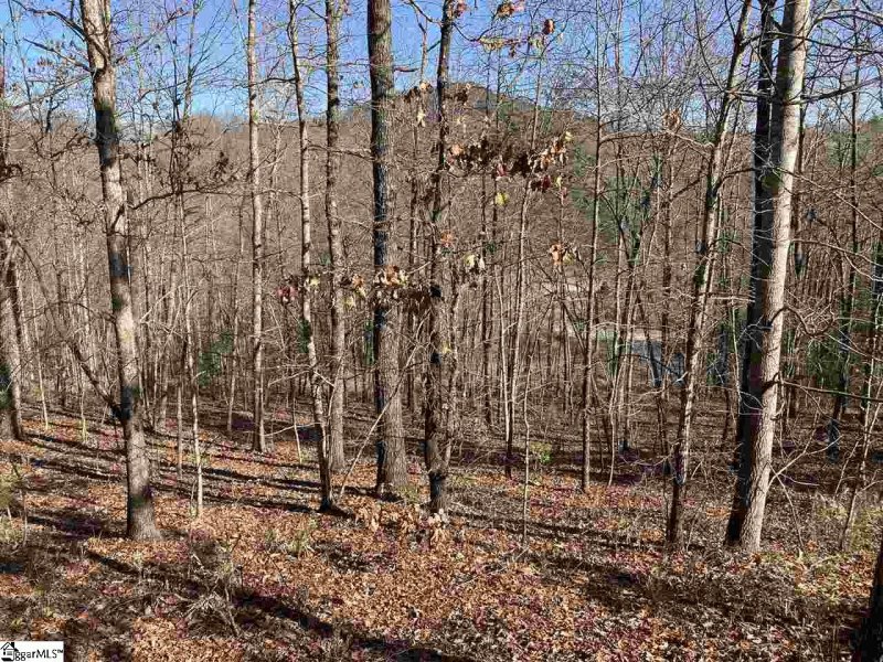 811 Highridge Parkway