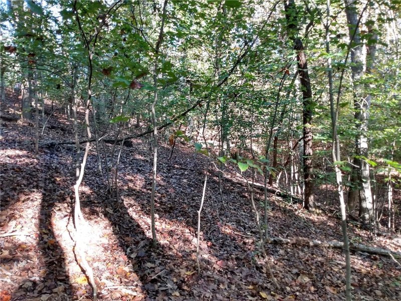 Property image 5 of 1799 Mohawk Lane in Chickasaw Point, Westminster, SC 29693