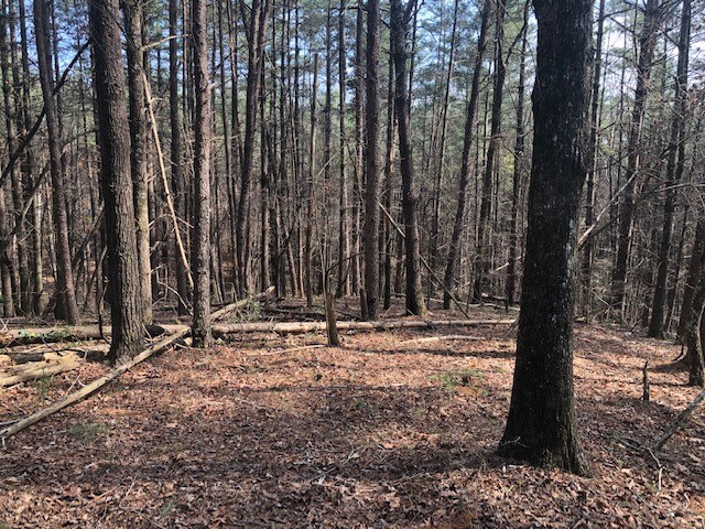 Property image 2 of 101 Dutchman S Pipe Trail in Cliffs At Keowee Vineyards, Sunset, SC 29685