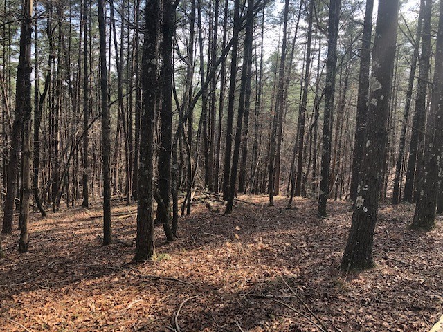Property image 3 of 101 Dutchman S Pipe Trail in Cliffs At Keowee Vineyards, Sunset, SC 29685