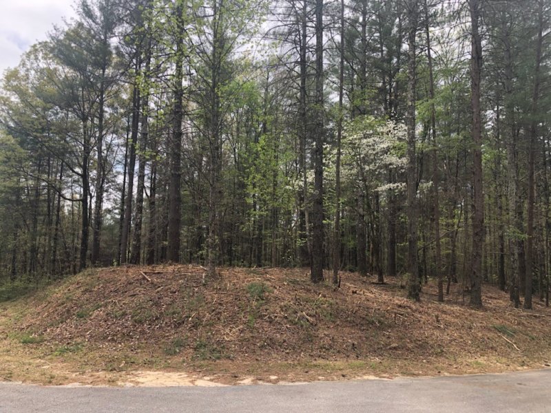 Property image 4 of 101 Dutchman S Pipe Trail in Cliffs At Keowee Vineyards, Sunset, SC 29685