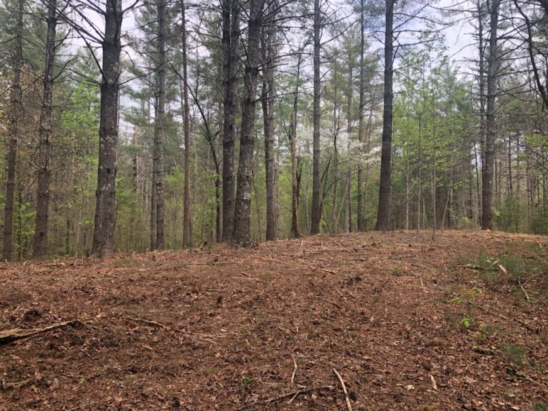 Property image 5 of 101 Dutchman S Pipe Trail in Cliffs At Keowee Vineyards, Sunset, SC 29685