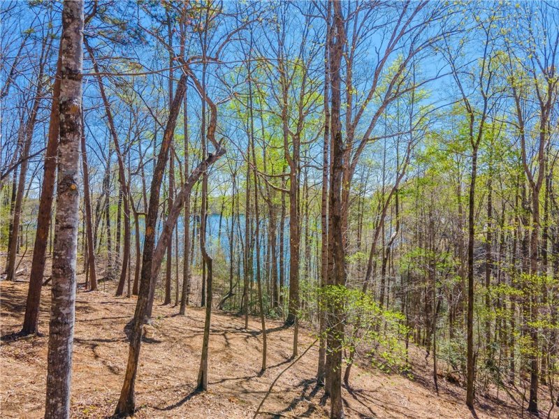 Property image 3 at 806 Rockcrest Way, Salem, SC 29676