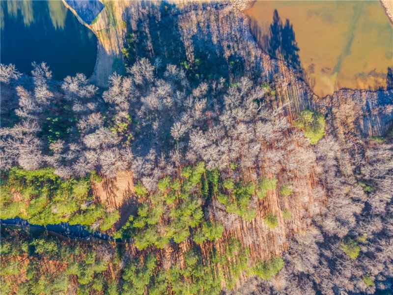 Property image 5 at Hr 76 Eagle Ridge Way, Salem, SC 29676