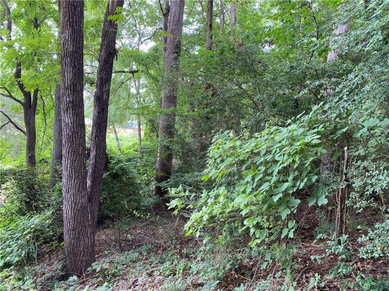 Property image 3 of 211 Elizabeth Lane in Green Hill Plnt, Anderson, SC 29621