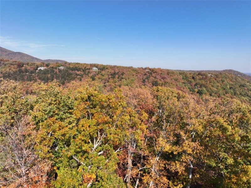 Property image 4 of 106 Ridge Pass Way in Cliffs At Glassy, Landrum, SC 29356