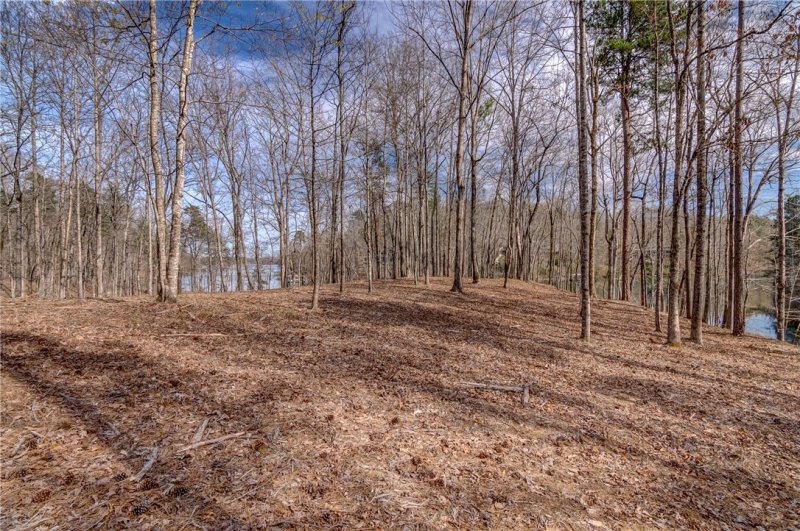 Property image 3 at Lot 16 Crestone Court, Salem, SC 29676