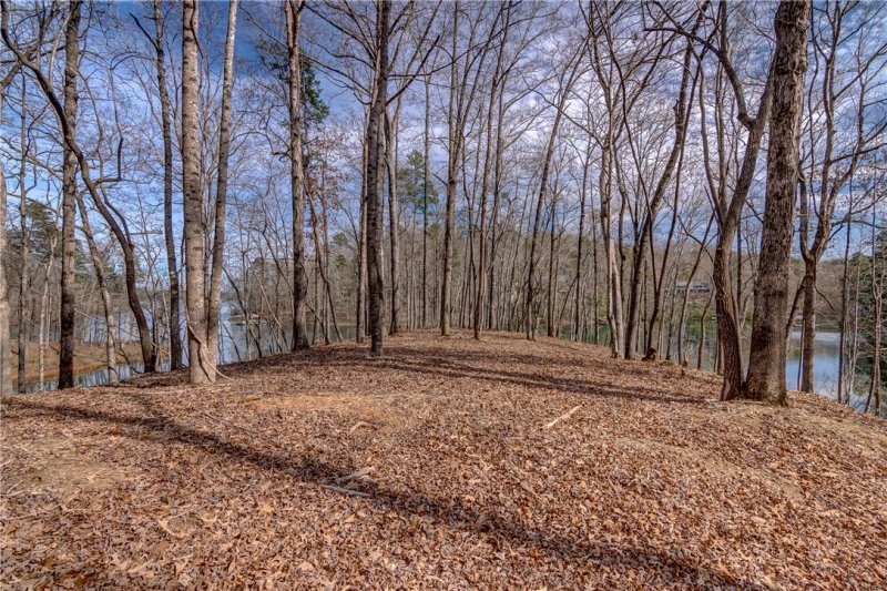 Property image 4 at Lot 16 Crestone Court, Salem, SC 29676