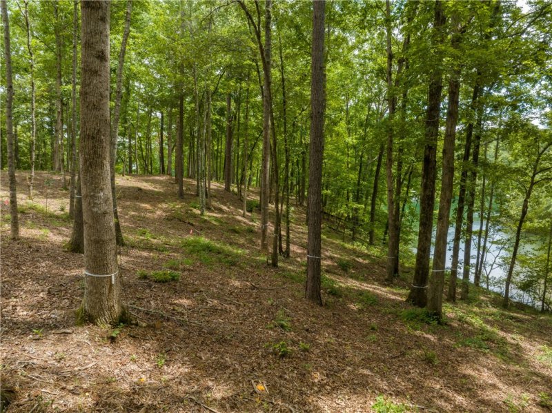 Property image 4 at Lot 17 Crestone Court, Salem, SC 29676