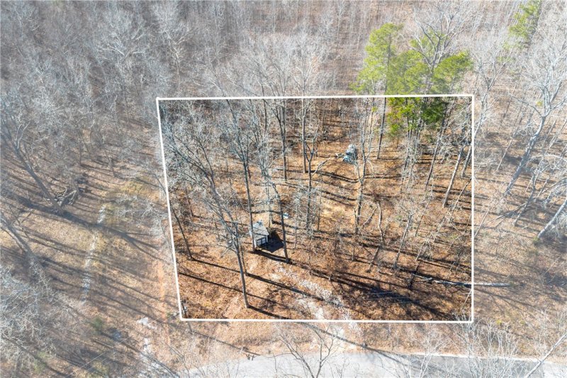 239 Brandywine Drive