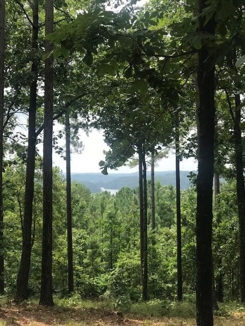 Property image 2 at 333 Long Cove Trail, Salem, SC 29676