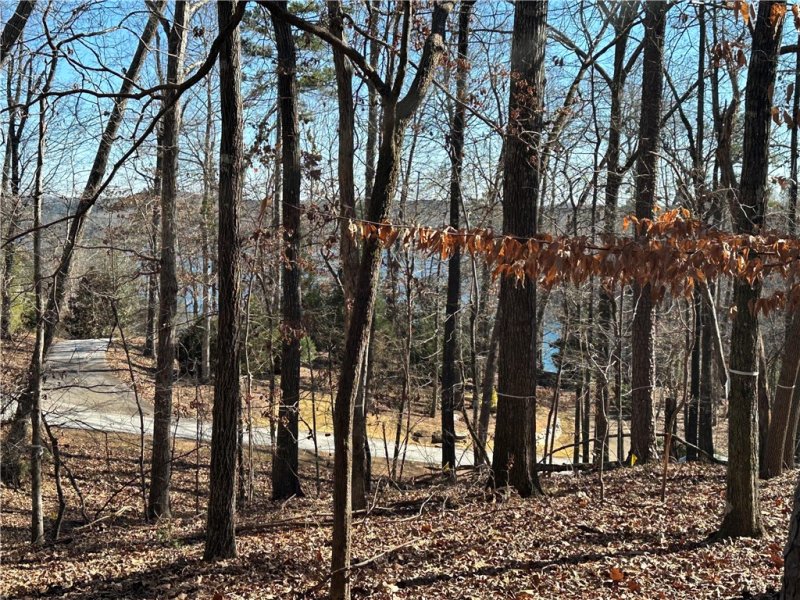 Property image 2 at 106 E Fort George Way, Sunset, SC 29685