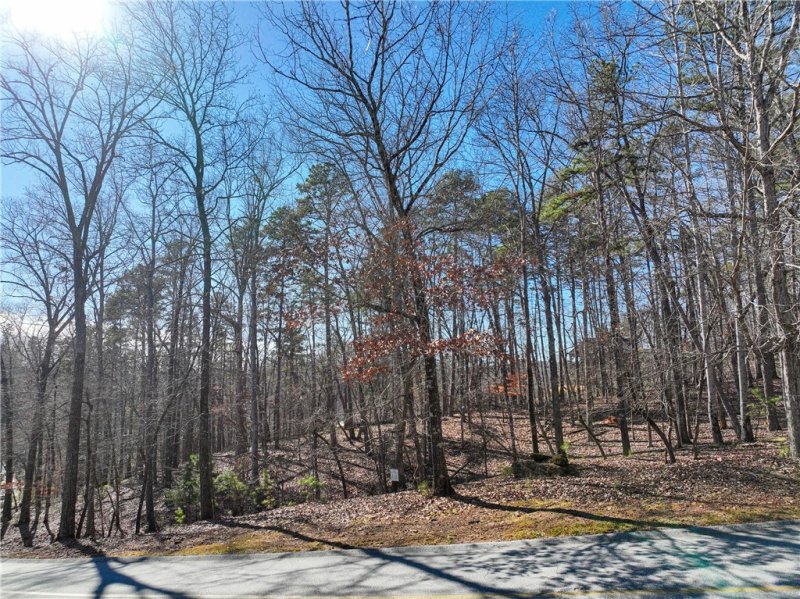 Property image 5 at 106 E Fort George Way, Sunset, SC 29685