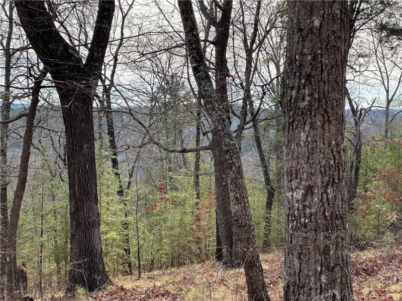 Property image 3 of 141 Parkview Lane in The Reserve At Lake Keowee, Sunset, SC 29685