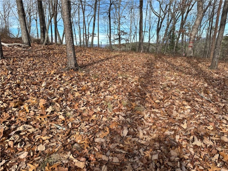 Property image 4 of 141 Parkview Lane in The Reserve At Lake Keowee, Sunset, SC 29685