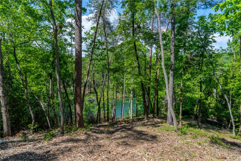 Property image 2 of 116 Stillwater Court in The Reserve At Lake Keowee, Sunset, SC 29685