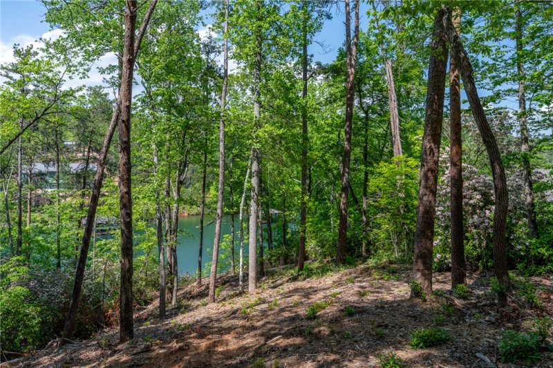 Property image 3 of 116 Stillwater Court in The Reserve At Lake Keowee, Sunset, SC 29685
