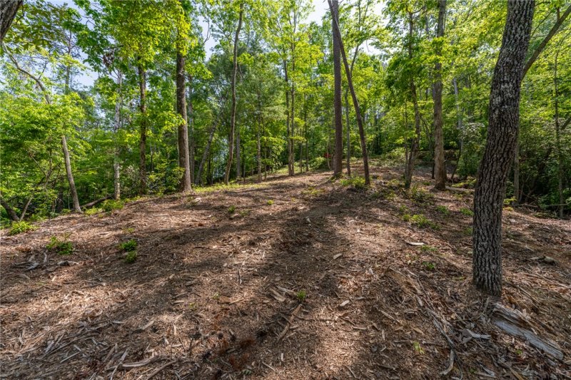 Property image 5 of 116 Stillwater Court in The Reserve At Lake Keowee, Sunset, SC 29685