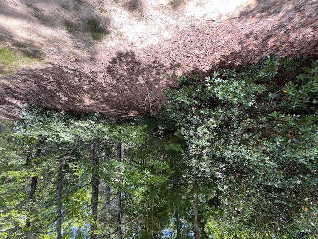 Property image 4 of Lot 71 Edgewater Point in Keowee Bay, Salem, SC 29676