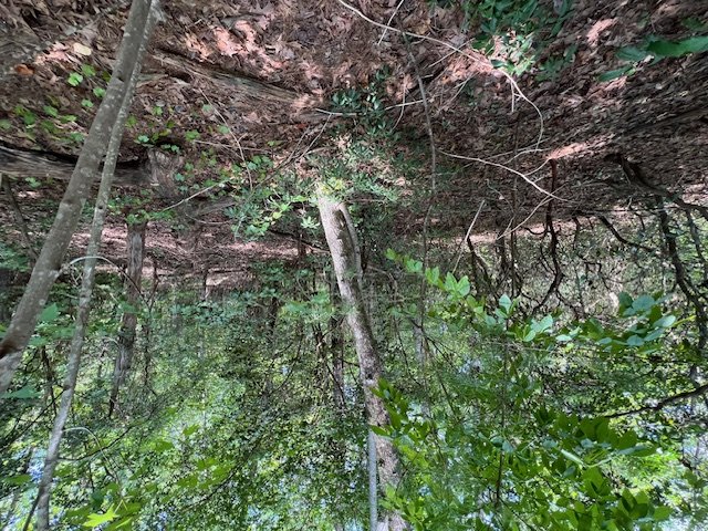 Property image 5 of Lot 71 Edgewater Point in Keowee Bay, Salem, SC 29676