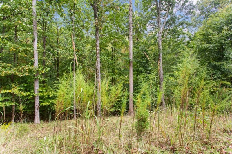 Property image 3 at 00 Parnassus Drive, Westminster, SC 29693