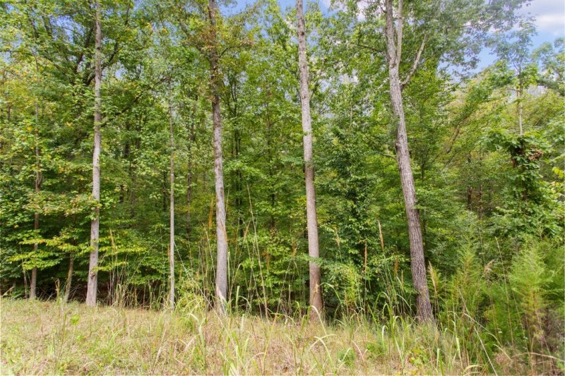 Property image 4 at 00 Parnassus Drive, Westminster, SC 29693