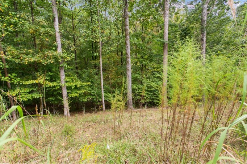 Property image 5 at 00 Parnassus Drive, Westminster, SC 29693