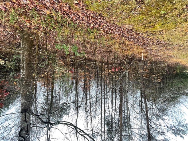 Property image 3 at Lot 806 Palmer Lane, Westminster, SC 29693