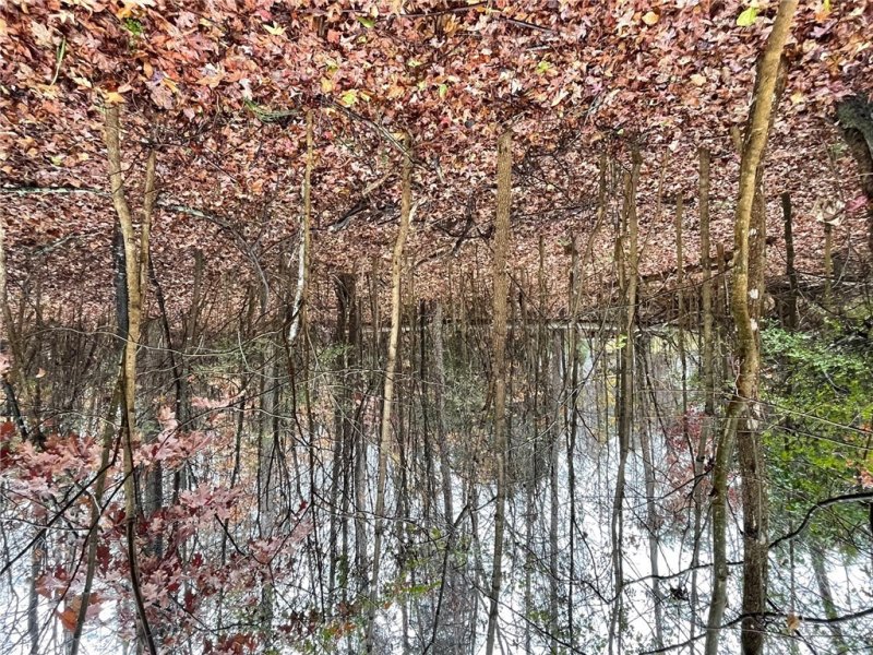 Property image 4 at Lot 806 Palmer Lane, Westminster, SC 29693