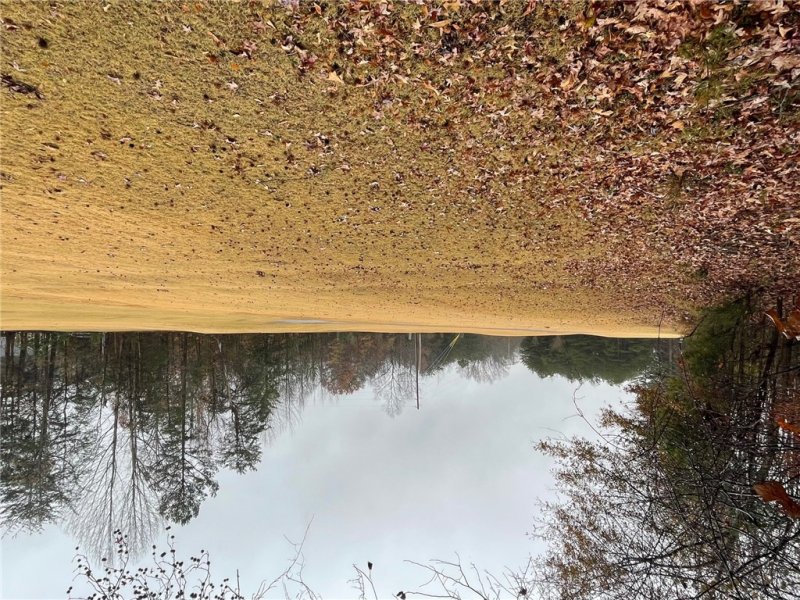 Property image 5 at Lot 806 Palmer Lane, Westminster, SC 29693