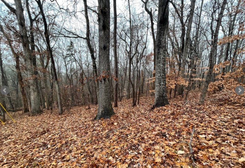 Property image 3 of Lot 2134 S Arrowhead Drive in Chickasaw Point, Westminster, SC 29693