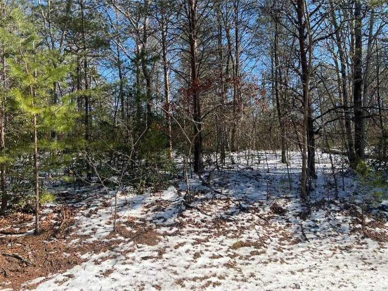 Property image 3 at 308 Mountain Summit Road, Travelers Rest, SC 29690