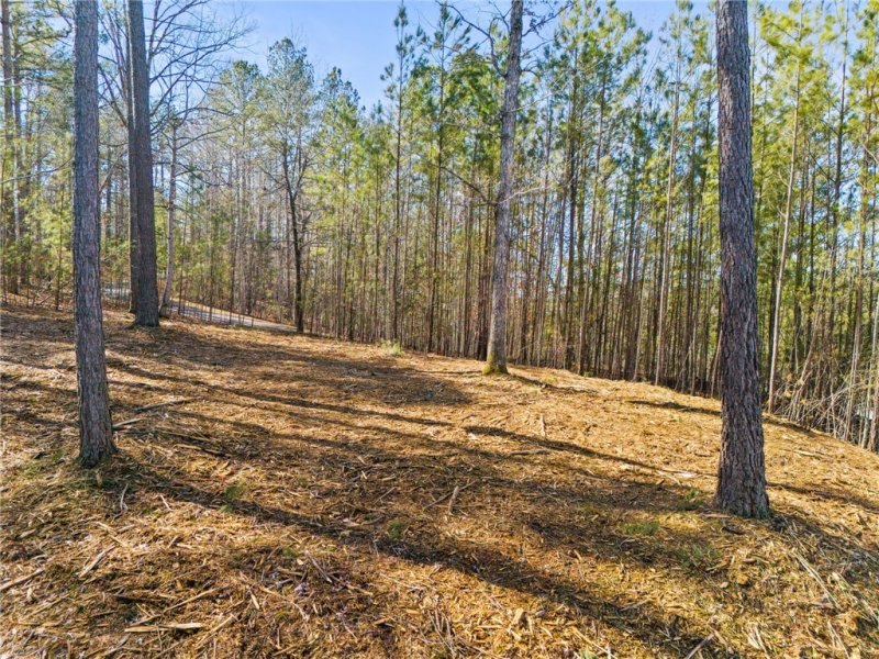 Property image 4 at 67a Long Cove Trail, Salem, SC 29676