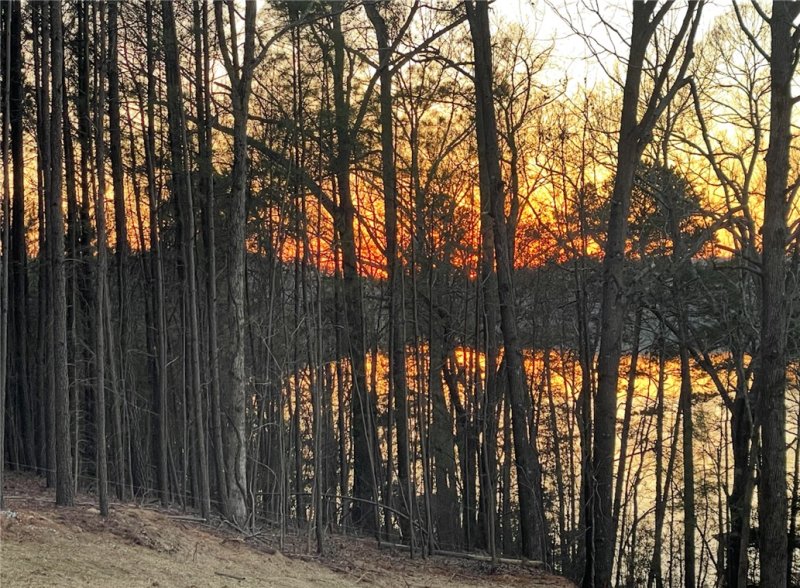 Property image 2 at 466 Overlook Drive, Fair Play, SC 29643