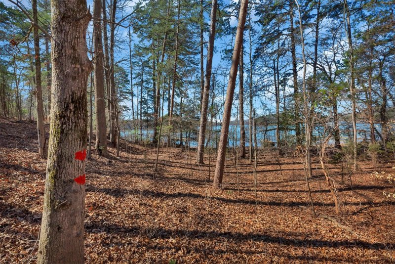 Property image 5 at 466 Overlook Drive, Fair Play, SC 29643