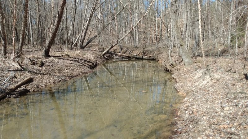 Shady Shores, Martin Community