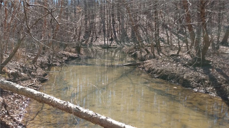 Property image 2 of 102 S Century Drive in Shady Shores, Martin, GA 30557