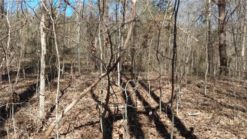 Property image 5 of 102 S Century Drive in Shady Shores, Martin, GA 30557