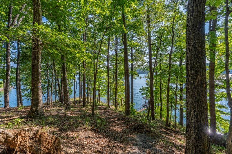 Property image 3 of 107 S Turtle Rock Road in The Reserve At Lake Keowee, Sunset, SC 29685