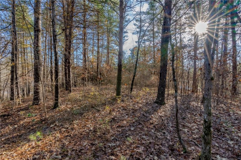 Property image 2 of Lot 46 Princess Tree Way in Cliffs At Keowee Vineyards, Sunset, SC 29685