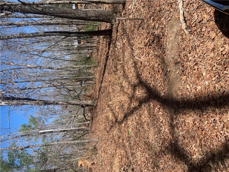 Property image 2 at 00 Bauknight Road, Mountain Rest, SC 29664