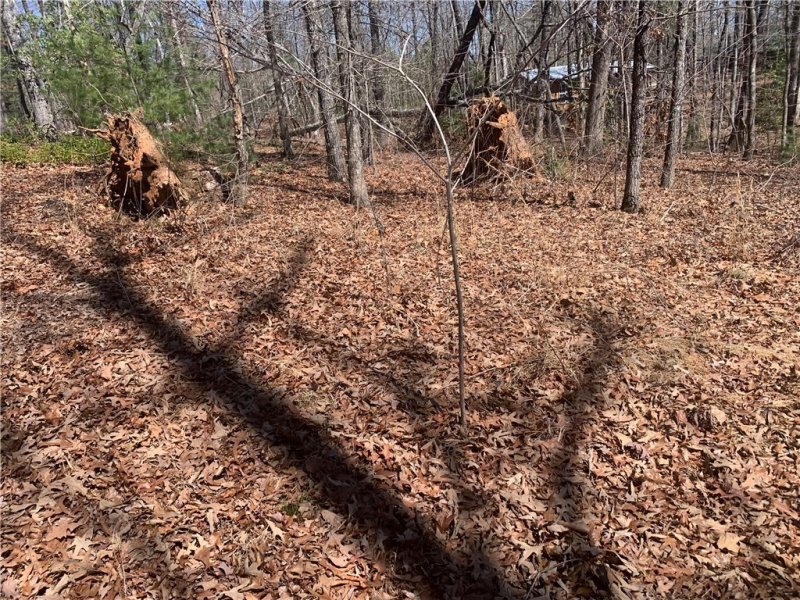 Property image 4 at 00 Bauknight Road, Mountain Rest, SC 29664