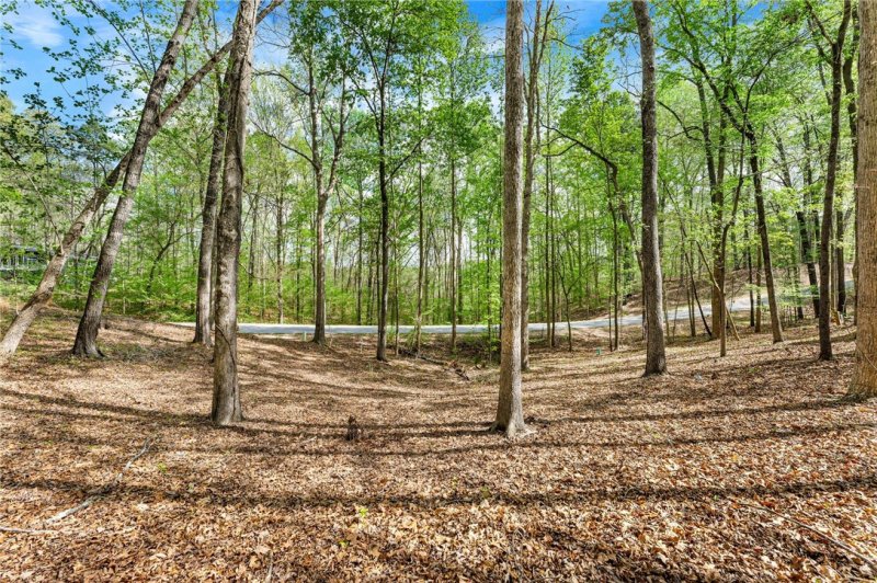 Property image 3 at 00 Point Road, Westminster, SC 29693