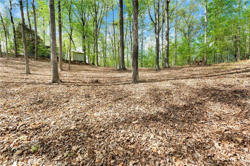 Property image 5 at 00 Point Road, Westminster, SC 29693