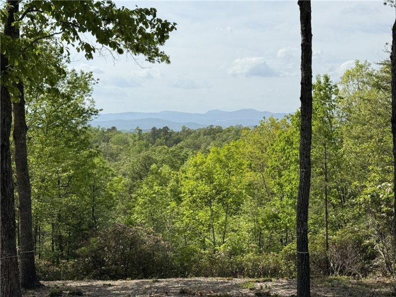 Property image 2 of 105 Parkview Lane in The Reserve At Lake Keowee, Sunset, SC 29685